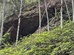 -午潮山国家森林公园