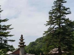 -国际友谊展览馆