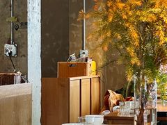 -一坐一忘云南菜(三里屯店)