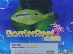 -重庆欢乐海底世界