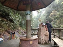 -九龙江国家森林公园