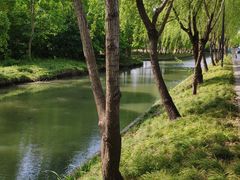-广富林郊野公园