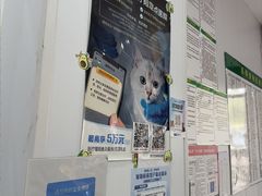-思琪宠物医院(昆山花桥店)