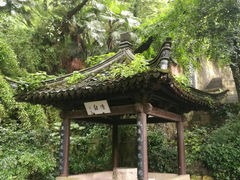 -绍兴鲁迅故里·沈园景区