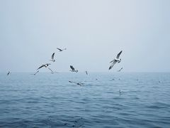 -悦海公园
