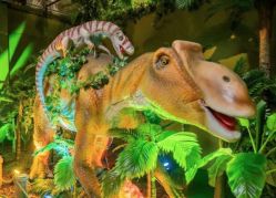 -恐龙探索乐园(磁器口店)