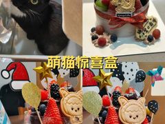 -EnergyCake蛋糕理想国