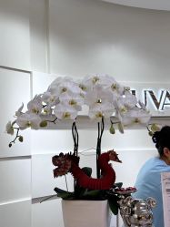 -JUVA欧华医美连锁