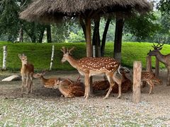 -北京野生动物园