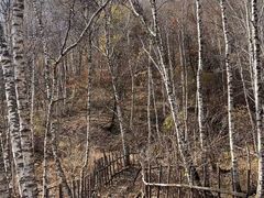 -道须沟旅游风景区