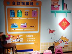 -柴犬高等学院·狗咖·柴犬售卖·宠物训练