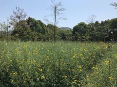 -天目湖御水温泉·度假酒店