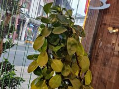-印象江南(东栅店)