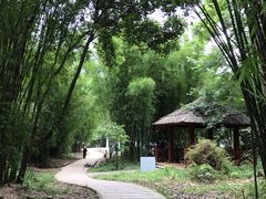 -广州市石门国家森林公园