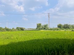 -莲花岛景区