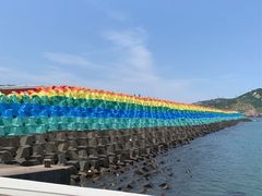 -枸杞岛