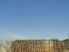-首都医科大学附属北京天坛医院