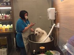 -PETKIT小佩宠物(古北店)