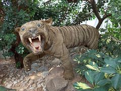 -西霞口神雕山野生动物世界