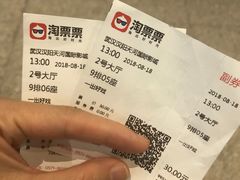 -汉阳天河电影城(王家湾店)