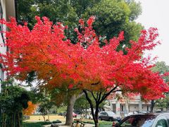 -麻雀咖啡SPARROW COFFEE(十全街店)