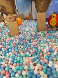 -卡通尼·Safari非洲探索乐园·生日会(金桥国际商业广场店)