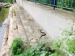 -碓臼峪自然风景区