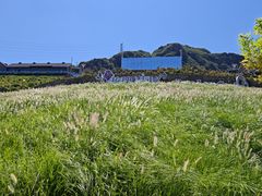 -密云玫瑰情园