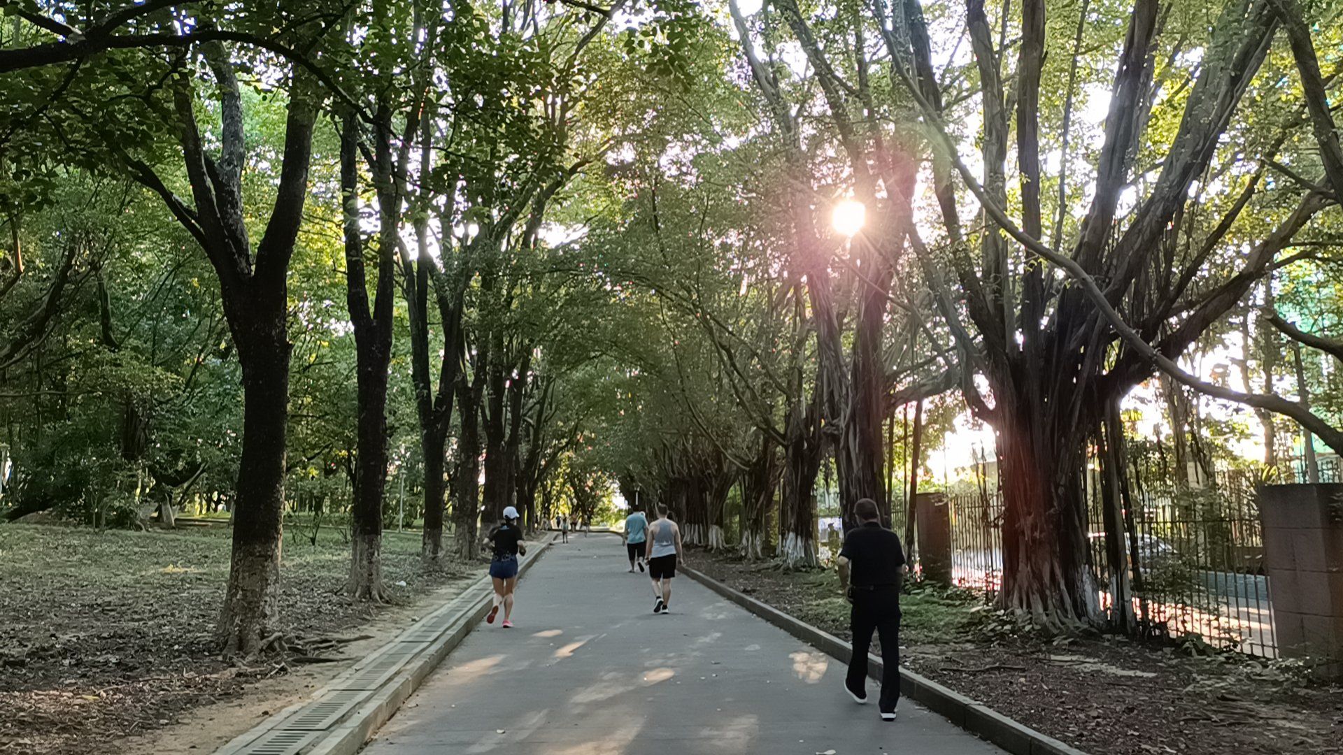 长湴公园在广州天河区,与华南植物园仅一墙之隔.