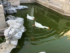 -祝家花園(伯渎港店)
