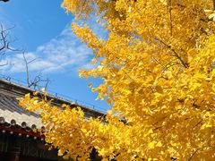 -承恩寺