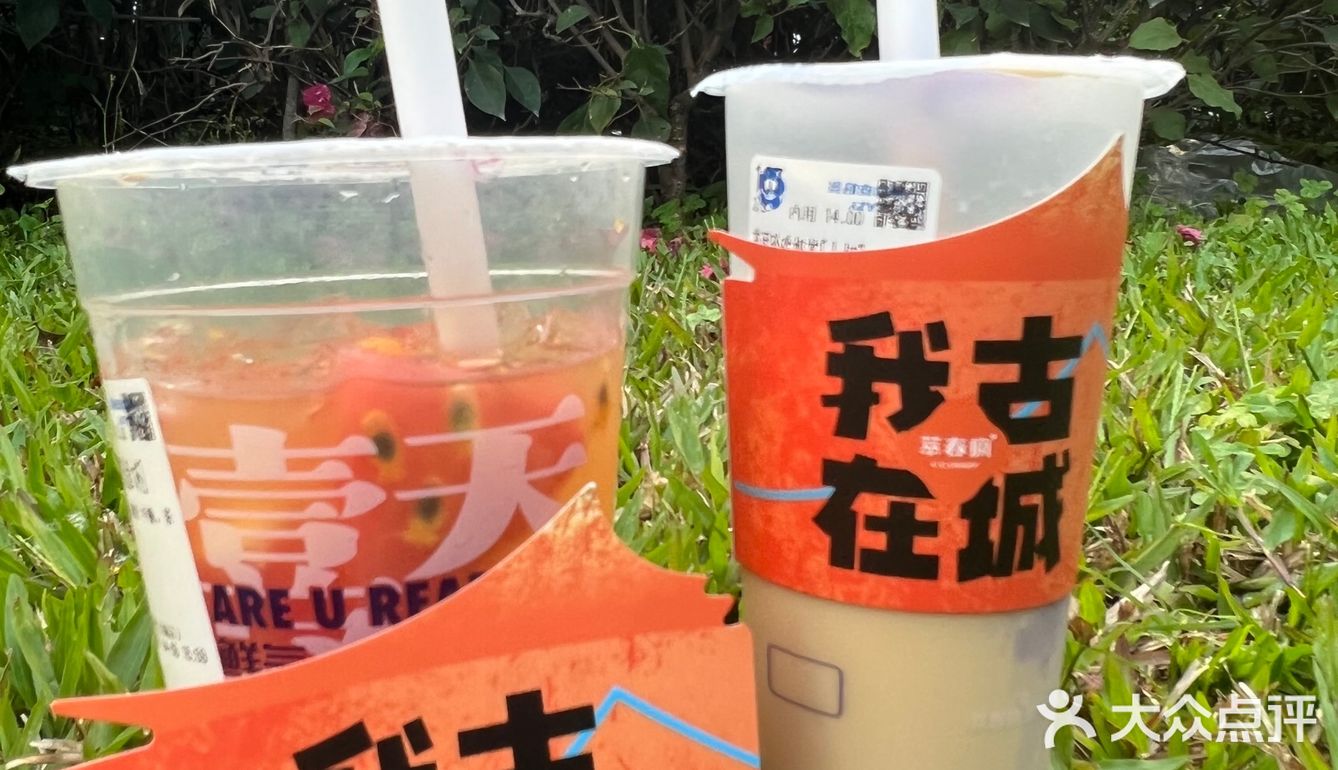 打卡古城奶茶｜萃春疯