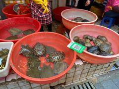 -青石桥市场北1-27号