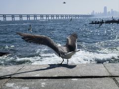 -星海广场