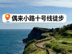 -西归浦每天偶来市场