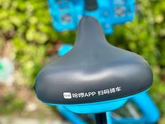 -回龙观体育文化公园