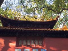 -普陀山风景名胜区-法雨禅寺