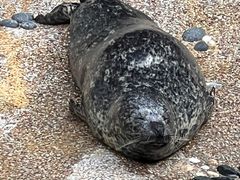 -香港海洋公园
