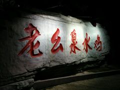 -老幺泉水鸡