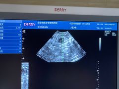 -安安宠医·安宠宠物医院