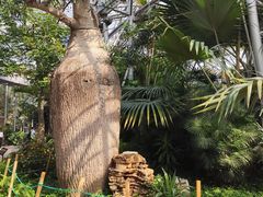 -北京植物园-展览温室