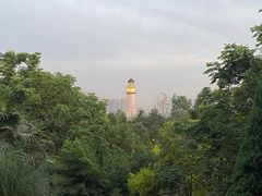 -金海湾滨江公园