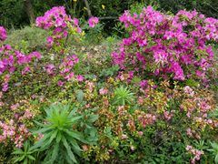 android_upload_pic-穹窿山景区