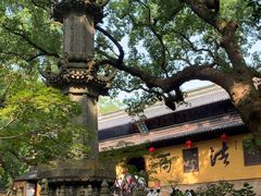 -普陀山风景名胜区-法雨禅寺