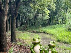 -同里国家湿地公园