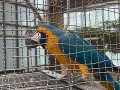 -南宫五洲植物乐园