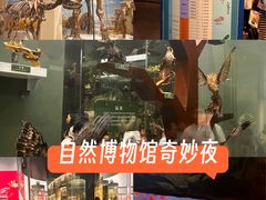 -国家自然博物馆