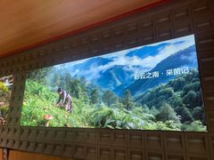 -菌自在·云南野生菌火锅(长安万达店)