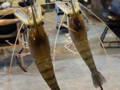 -粮心小农·大头虾亲子生态园(长发店)