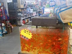 -中福百货(望京店)